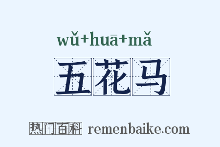 五花马是什么意思的图片